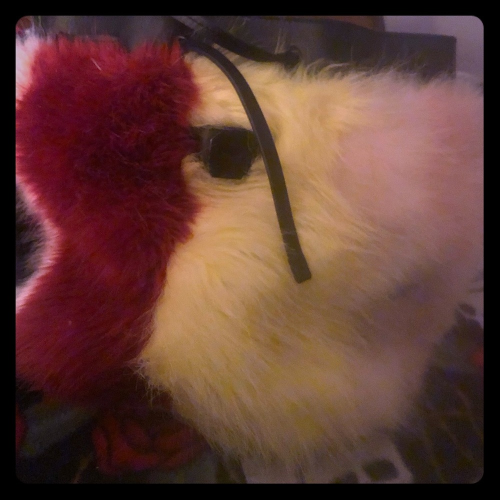 Kendal and Kylie Fur back pack